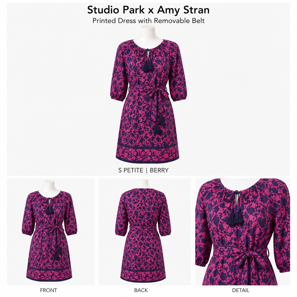 Studio Park x Amy Stran Small Petite Printed Dress Berry Tassels New A648606
